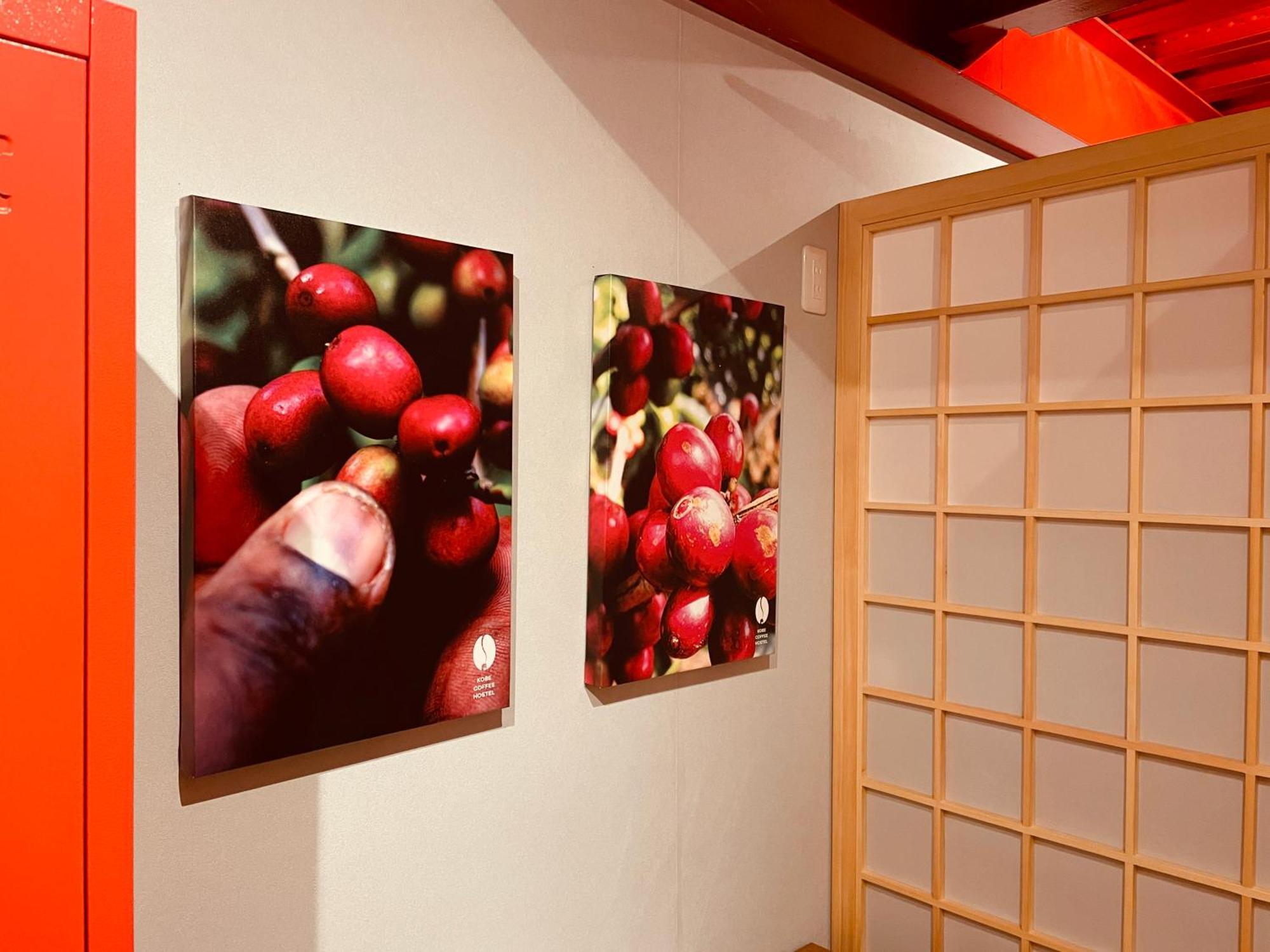 Kobe Coffee Hostel Exterior foto